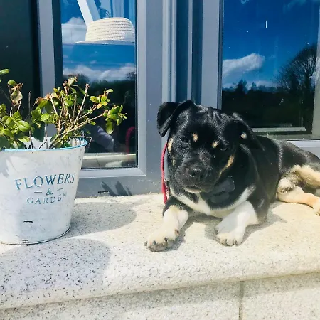 Railway فندق مبيت وإفطار 4*